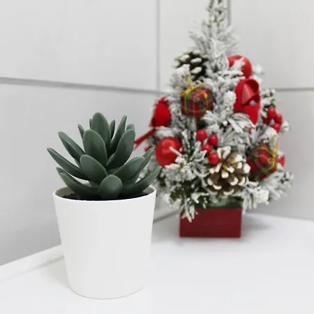 Conforti Apartamento